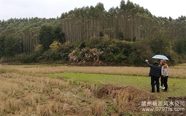 黑龙江陈老师带着爱徒寻龙点穴